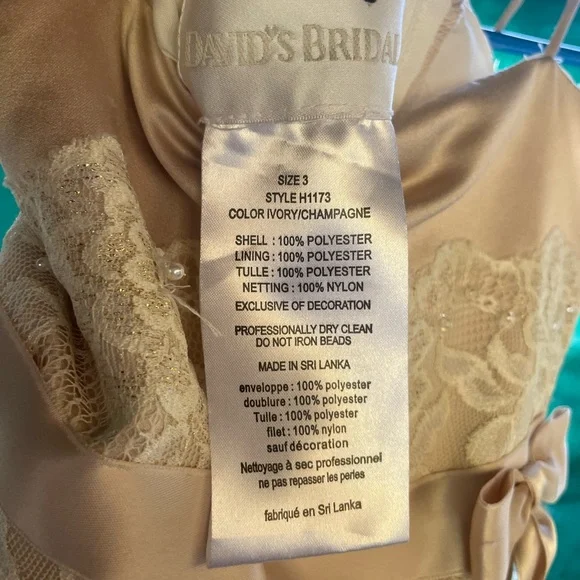 David's Bridal Ivory Lace Bodice Tulle Dress with Satin Bow - Picture 4 of 4